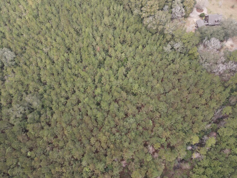 0 Baldwin St, Satsuma, AL for sale - Building Photo - Image 3 of 13