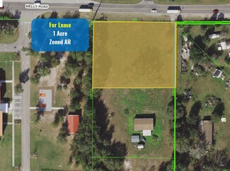 More details for 30740 Wells Rd, Wesley Chapel, FL - Land for Lease