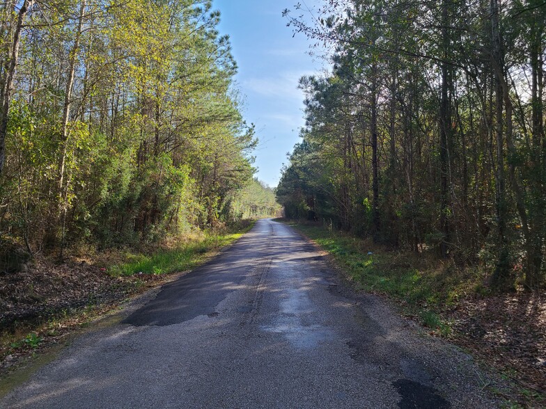 County Road 786, Buna, TX for sale - Building Photo - Image 1 of 1