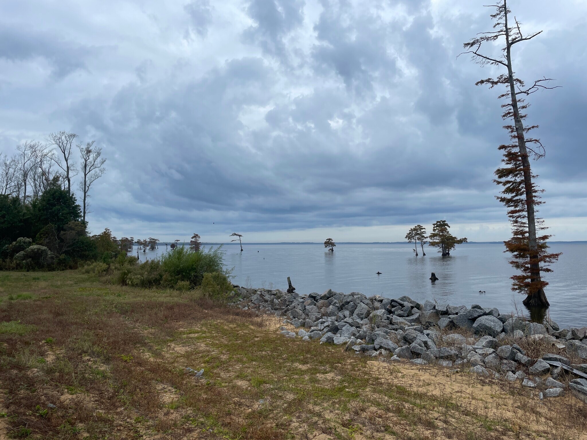 0 Albemarle Beach, Roper, NC for sale Aerial- Image 1 of 1