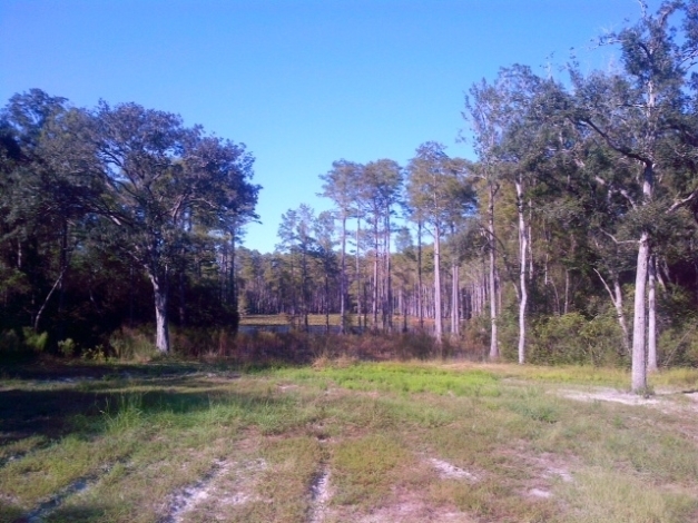 Sopchoppy Hwy, Sopchoppy, FL 32358 | LoopNet