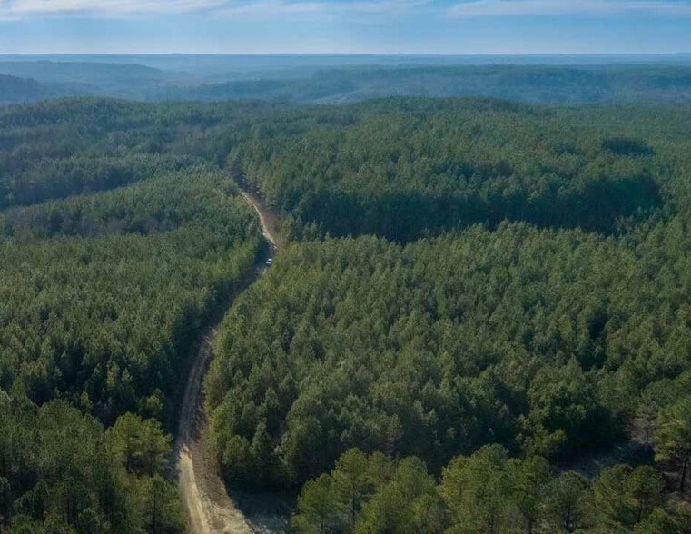 0 AL 13, Nauvoo, AL for sale - Building Photo - Image 2 of 12