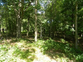 More details for 184 Shore Rd, Old Lyme, CT - Land for Sale