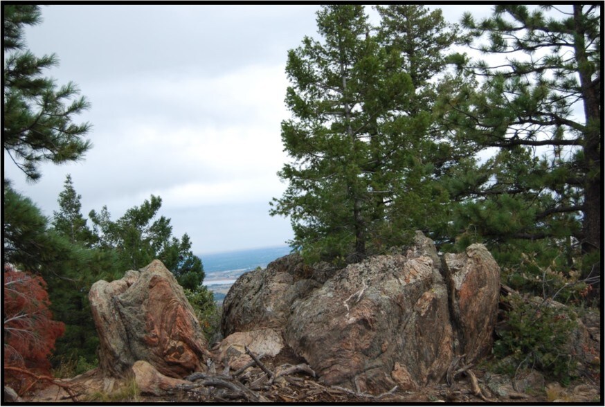 13927 Dancing Bear Trl, Littleton, CO for sale - Other - Image 1 of 1