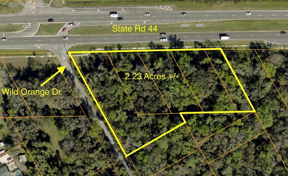 State Road 44, New Smyrna Beach, FL 32168 Land for Sale