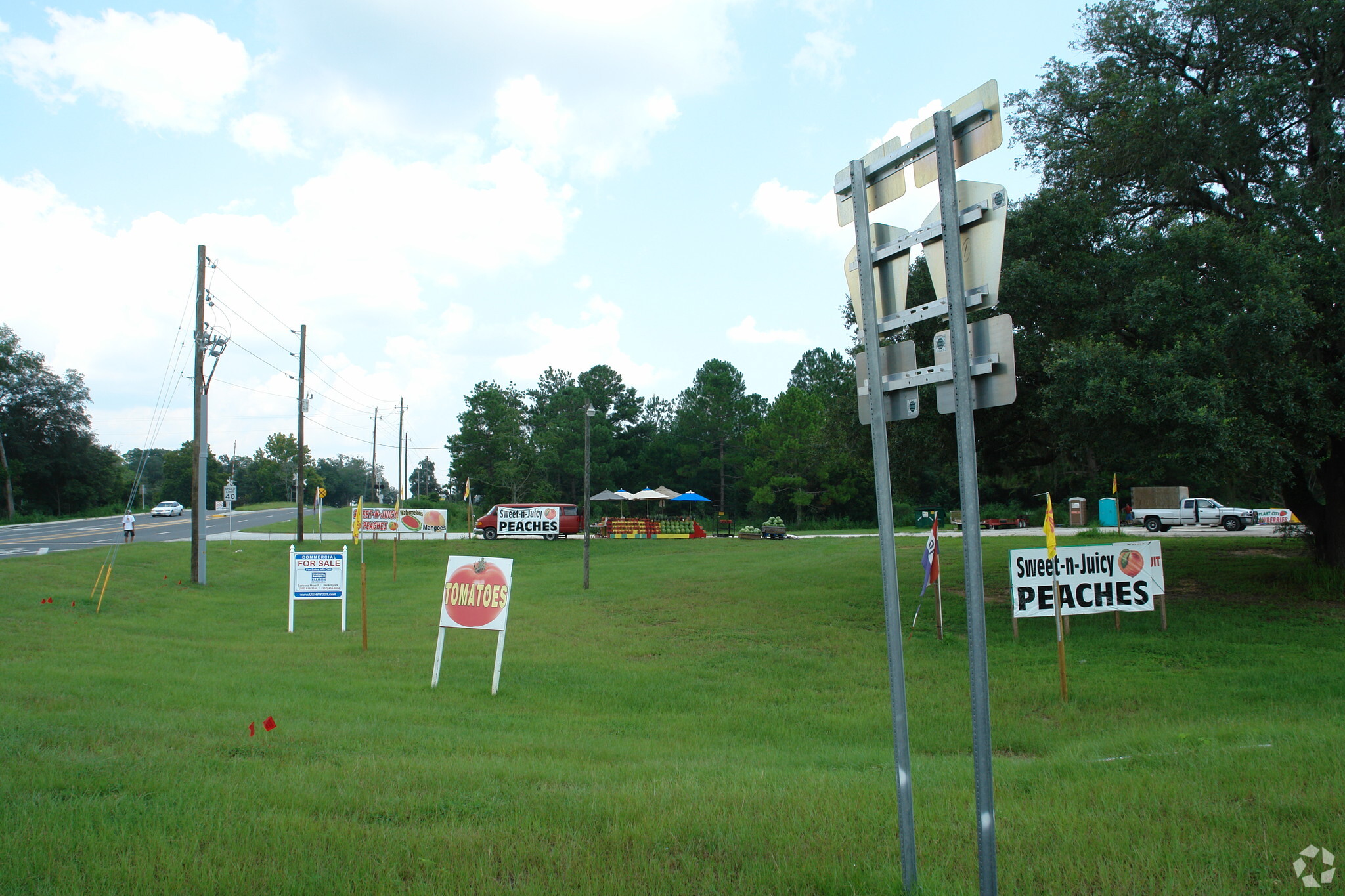 6810 SE Hwy 42, Summerfield, FL for sale Primary Photo- Image 1 of 1