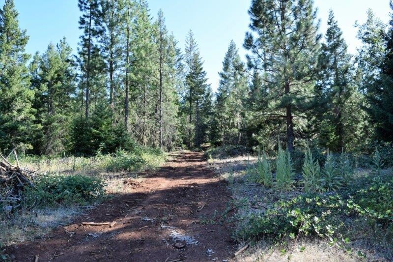 Butte Falls Hwy, Butte Falls, OR 97522