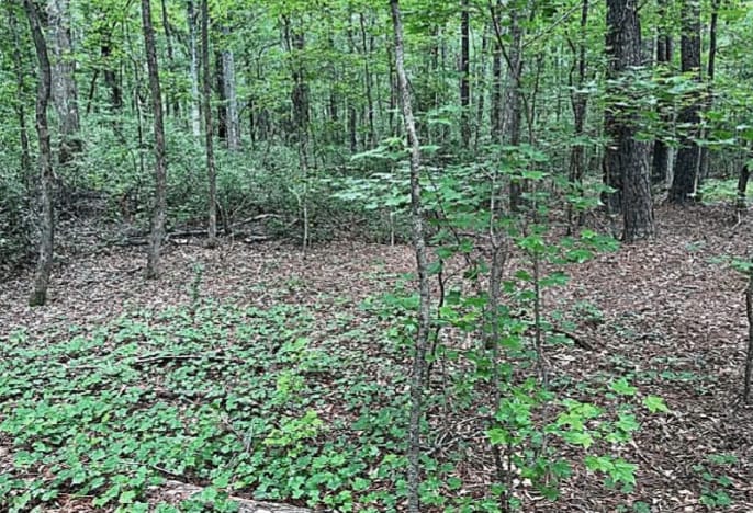 Jimmie Mayfield Blvd Fayetteville, GA  30215 United States, Fayetteville, GA for sale - Other - Image 3 of 16