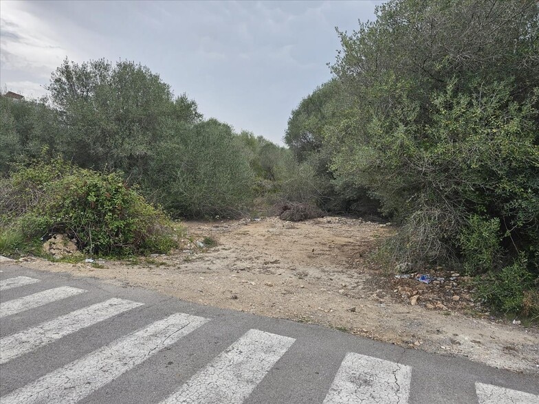 Pla?A Poligono 37, 56, Vinaròs, Castellón for sale - Building Photo - Image 3 of 13