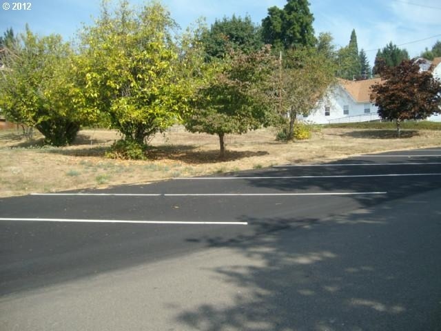 Primary Photo