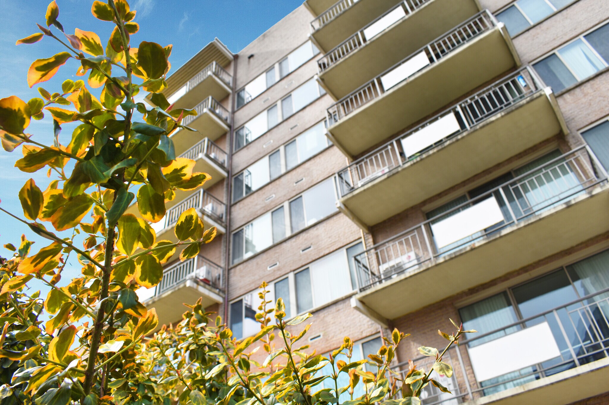 1512 Arlington Ridge Rd, Arlington, VA for sale Building Photo- Image 1 of 1