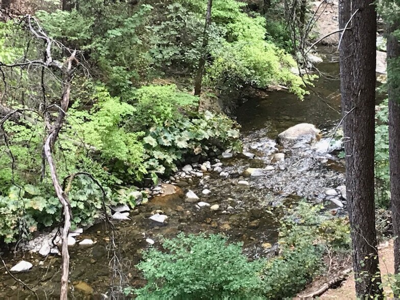 0 Mosquito Rd, Placerville, CA for sale - Primary Photo - Image 1 of 1