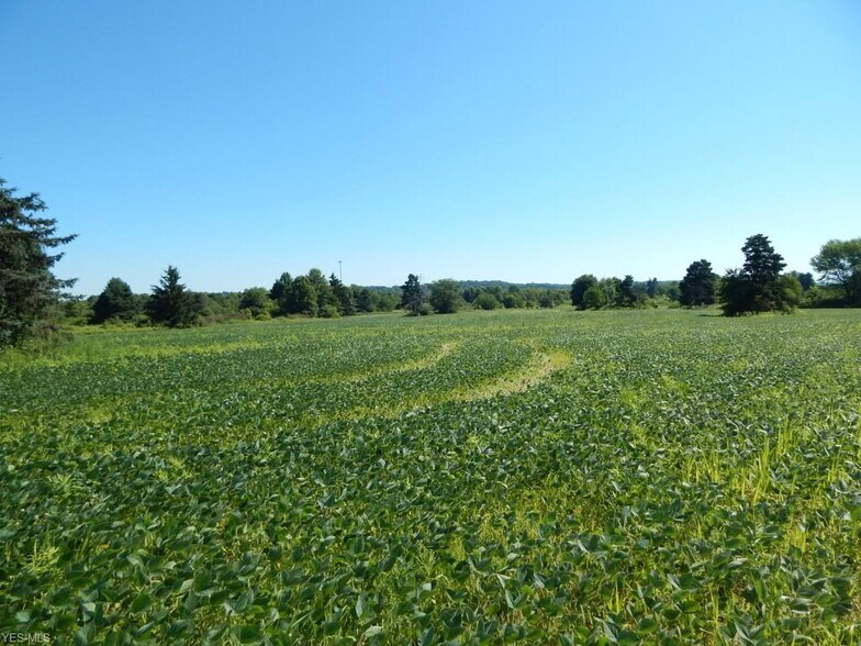 Ridge Rd, Sharon Center, OH 44274