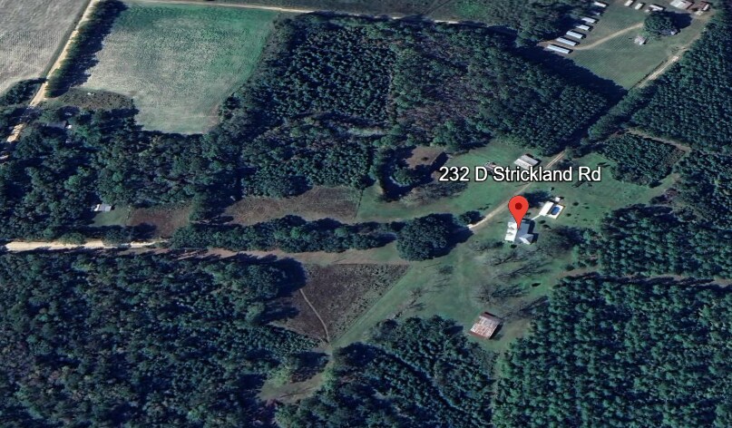 Strickland Rd, Pembroke, GA for sale - Building Photo - Image 2 of 5