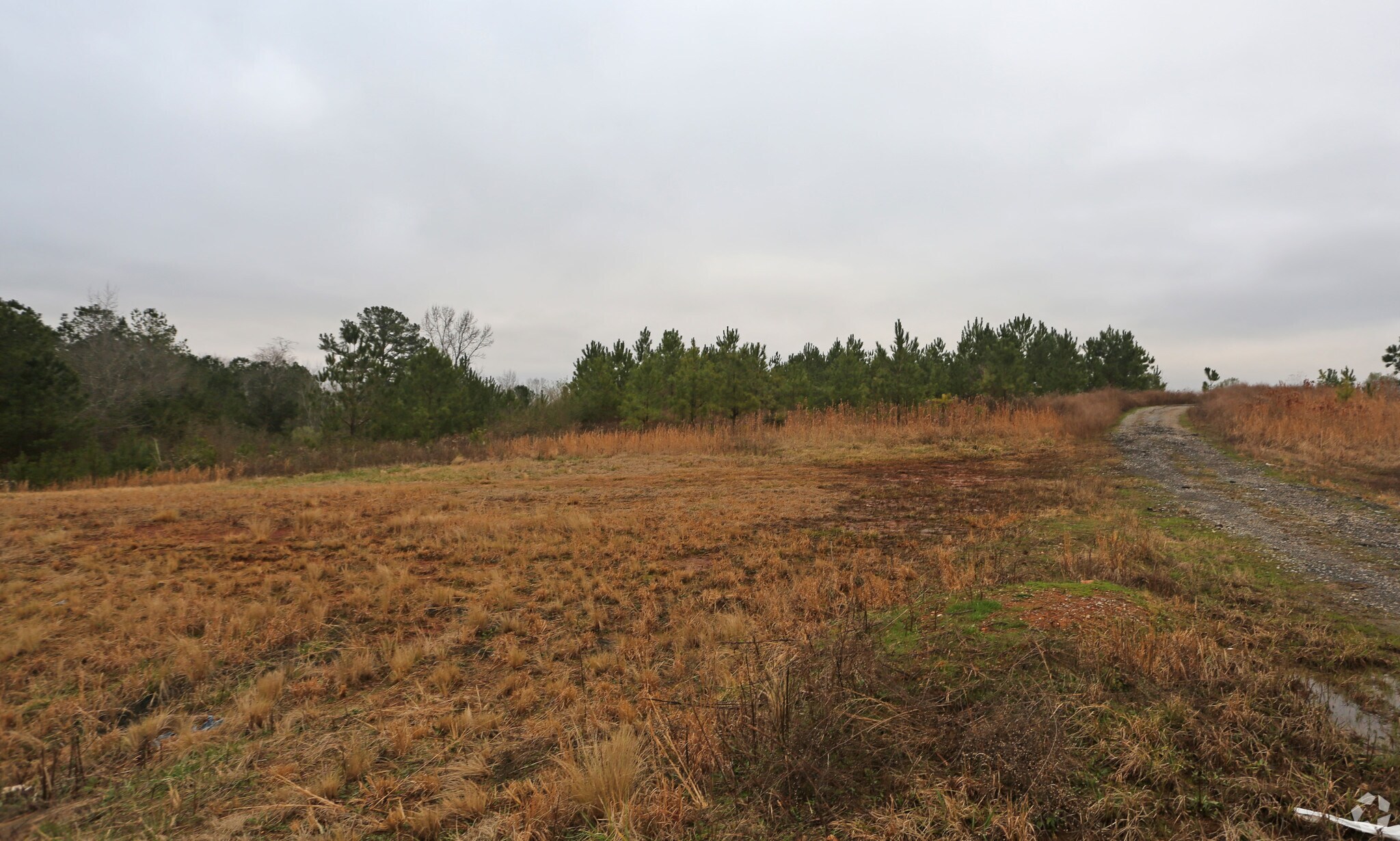 1250 Pope St, Talladega, AL for sale Primary Photo- Image 1 of 1