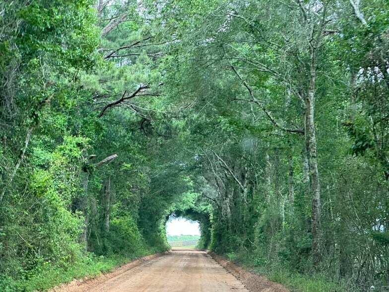 Millside Road, Laurel Hill, FL for sale - Other - Image 2 of 28