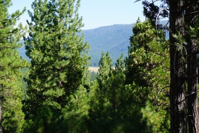 2999 Kristen Way, Clio, CA for sale Primary Photo- Image 1 of 1