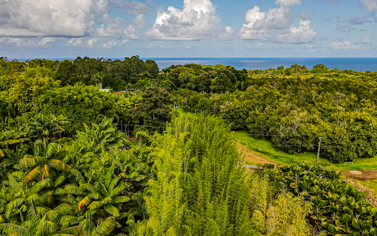 27-2760 Hawaii Belt Rd, Pepeekeo, HI for sale Primary Photo- Image 1 of 54