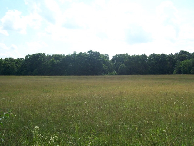 0 Pleasant School Rd, Gaffney, SC for sale - Primary Photo - Image 1 of 1