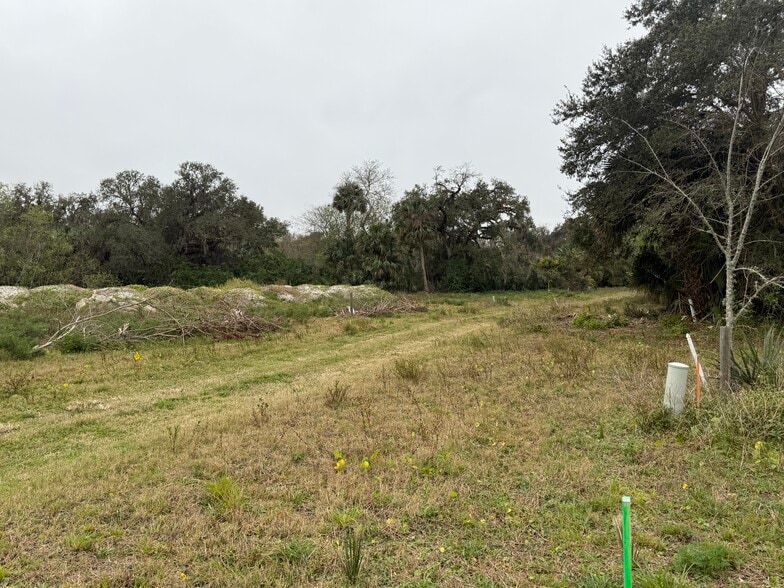 210 Mango Tree Dr, Edgewater, FL for sale - Building Photo - Image 2 of 9