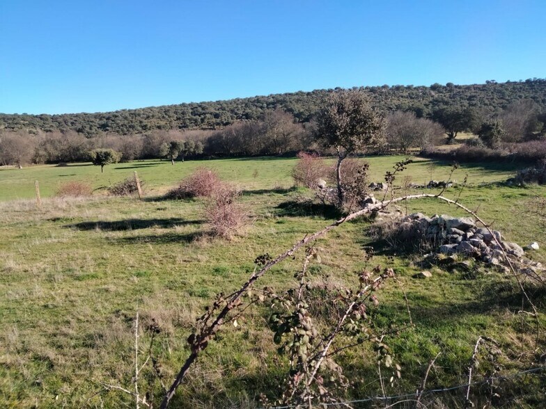 Land in Encina de San Silvestre for sale - Building Photo - Image 2 of 5