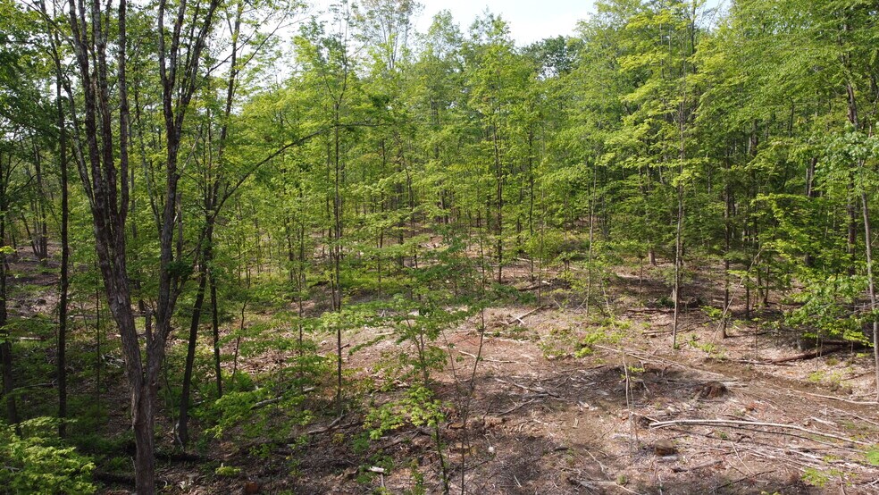 111 Twombley Rd, Sanford, ME 04073 Development Land Residential