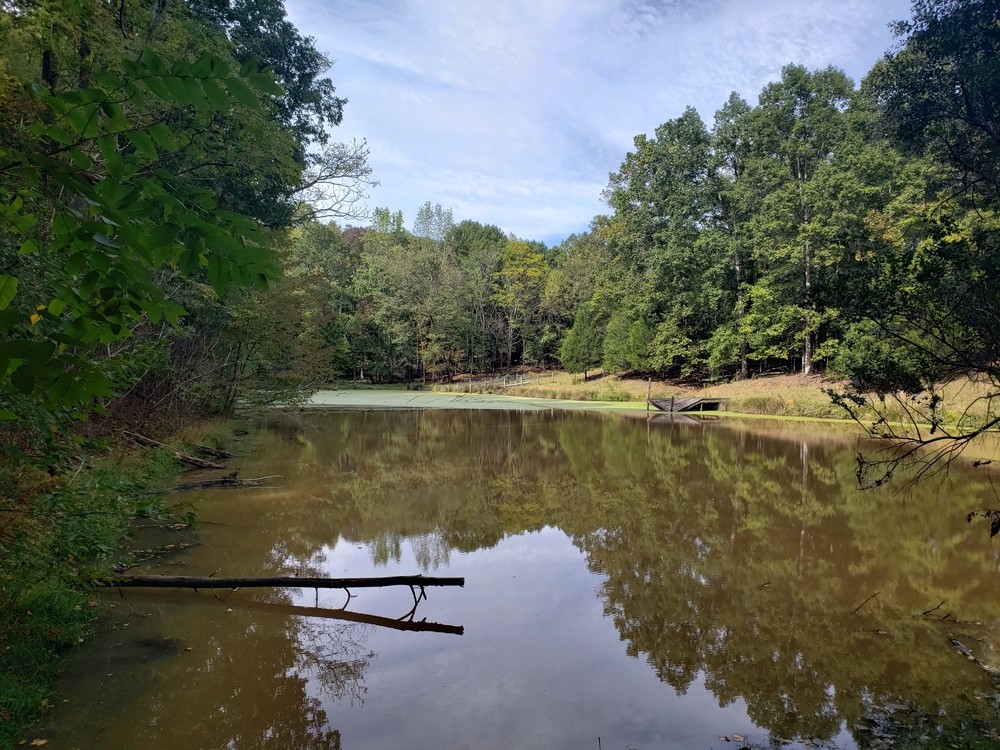 2571 Woodville Rd, Union Point, GA for sale Primary Photo- Image 1 of 1