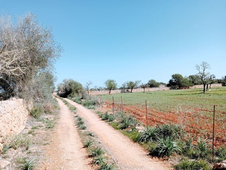 Land in Santanyí, Islas Baleares for sale - Aerial - Image 2 of 4
