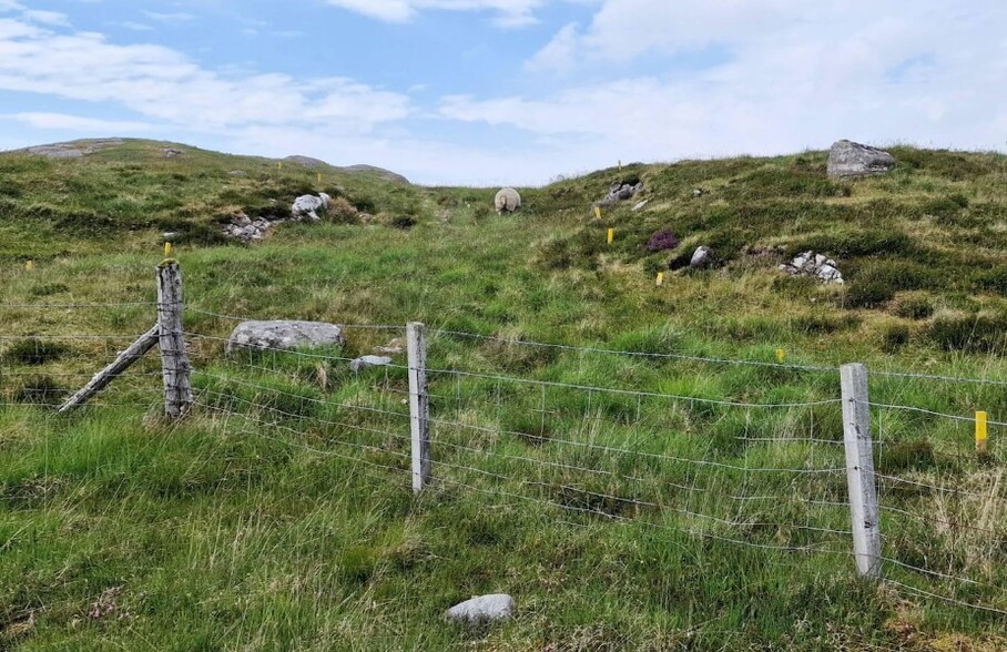 22 A Tolsta Chaolais, Isle Of Lewis for sale - Building Photo - Image 3 of 3