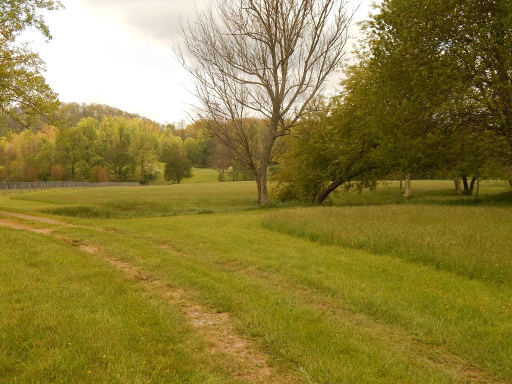 000 Plott Creek Rd, Waynesville, NC for sale Building Photo- Image 1 of 1