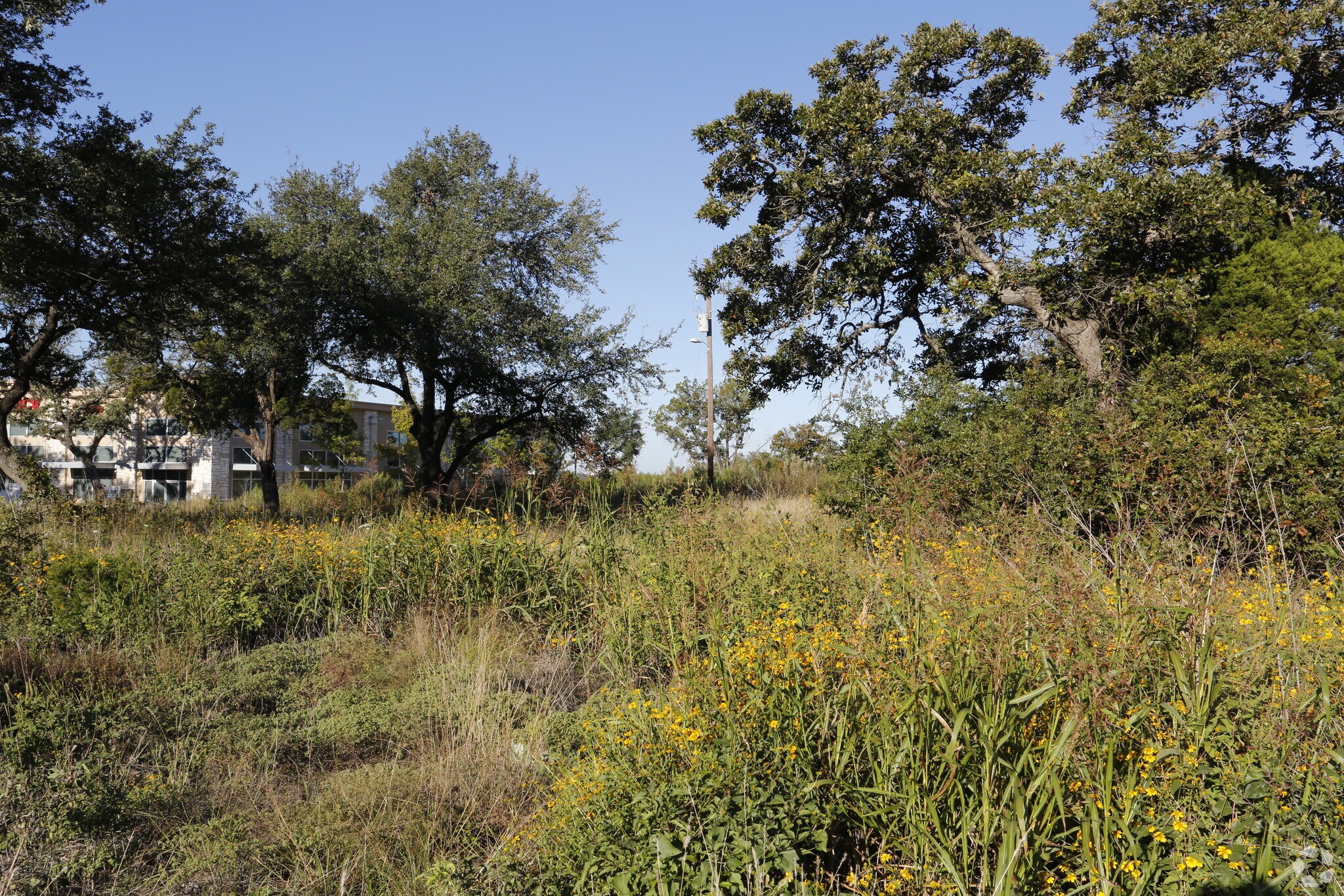 7300 Ranch Road 620, Austin, TX for sale Primary Photo- Image 1 of 1