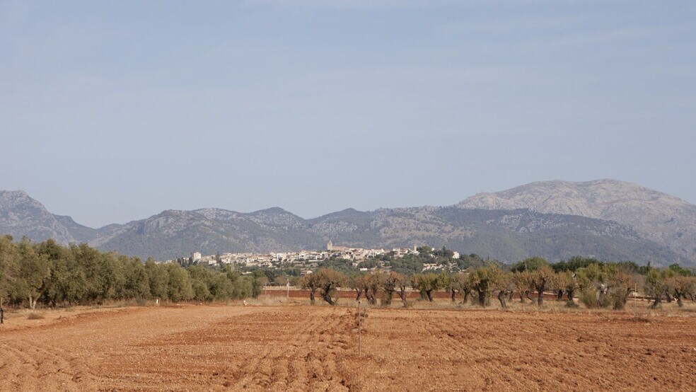 Land in Sa Pobla for sale - Building Photo - Image 2 of 24