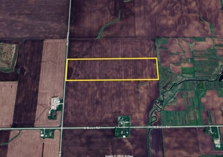 More details for 39.29± AC Breen Road, Elwood, IL - Land for Sale