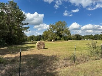 More details for 11 AC West Danville Road, Willis, TX - Land for Sale