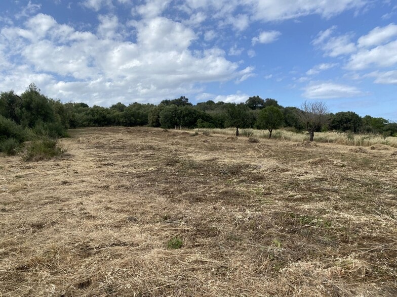Land in Muro, Islas Baleares for sale - Building Photo - Image 2 of 18