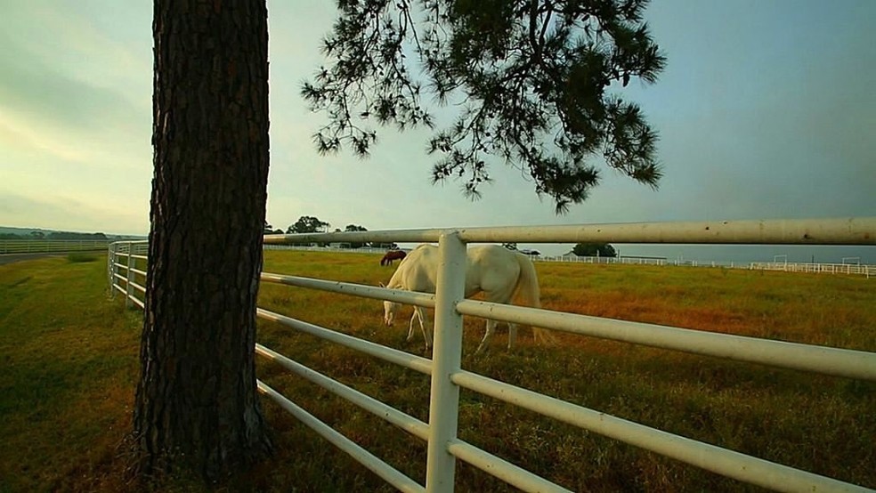 10285 Sanders Ranch Rd, Anderson, TX for sale - Primary Photo - Image 1 of 1