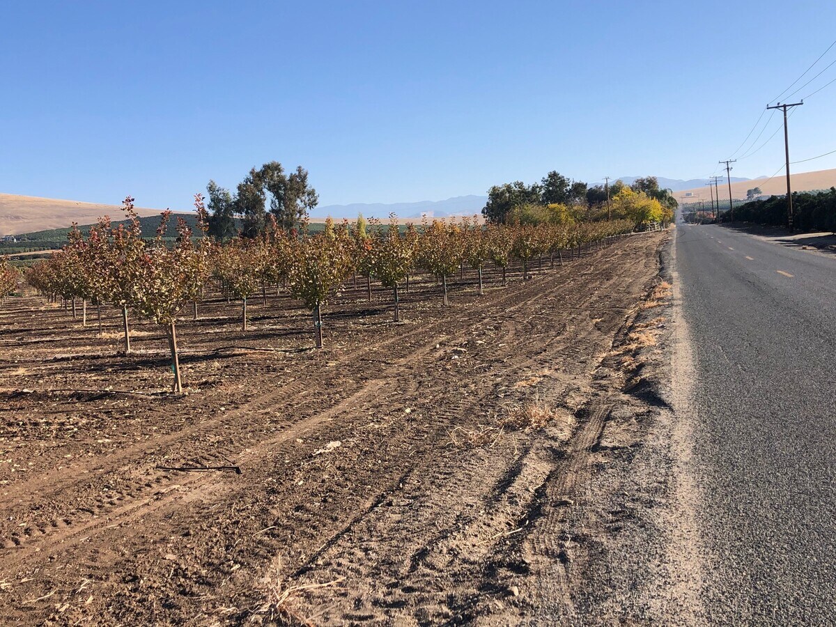 Avenue 96 Road 272, Terra Bella, CA 93270