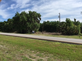 6075 N Orange Blossom Trl, Mount Dora, FL for sale - Primary Photo - Image 2 of 3