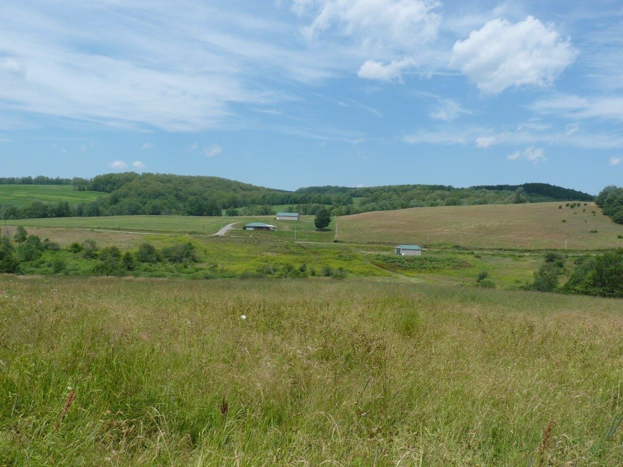 377 Bingham Center Rd, Genesee, PA for sale Primary Photo- Image 1 of 1