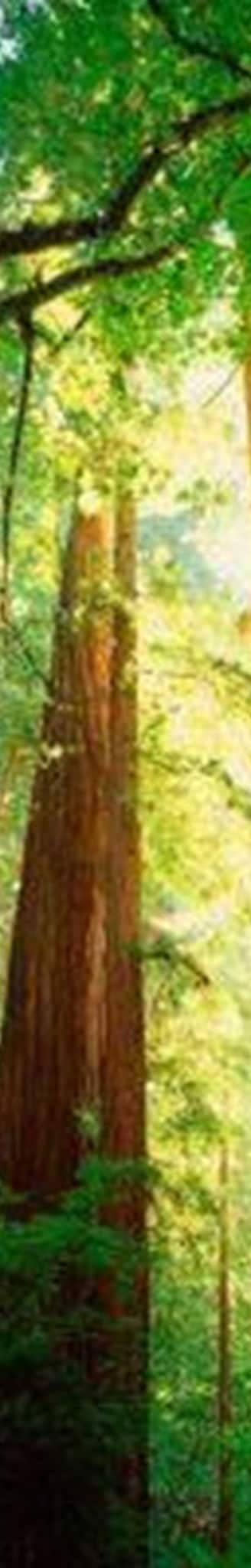 Greenwood Ridge Rnch, Philo, CA for sale Building Photo- Image 1 of 1