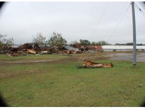 12964 US Highway 278 W, Cullman, AL for sale Primary Photo- Image 1 of 1