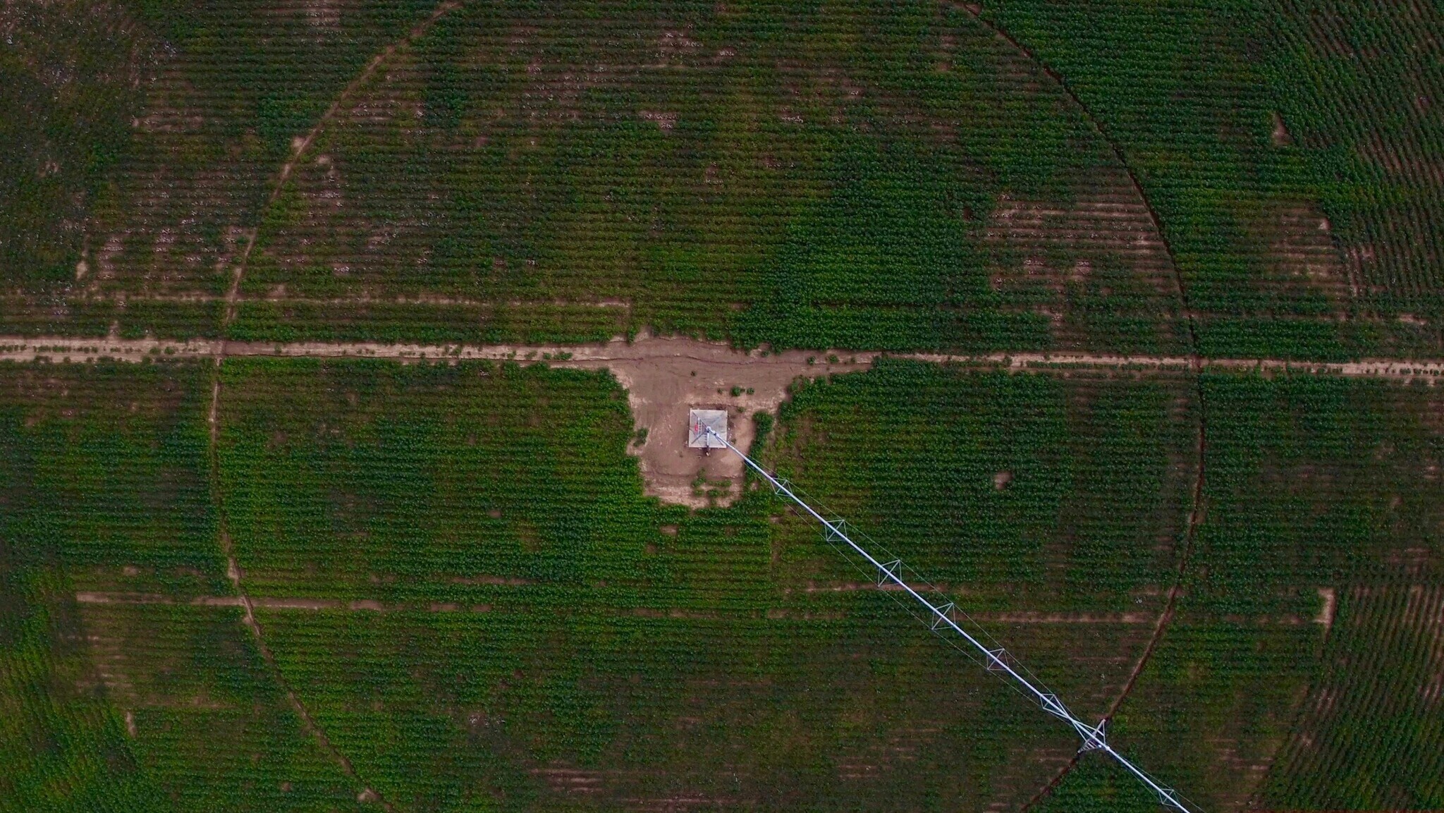 10± miles NE of Van Horn, Van Horn, TX 79855 Vaquillas Farm