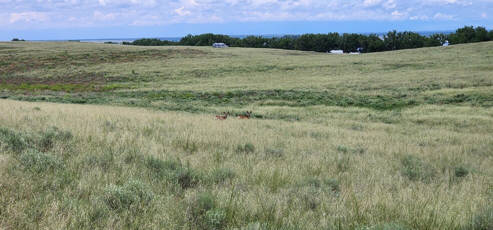 Empire Reservoir, Wiggins, CO for sale - Building Photo - Image 3 of 39