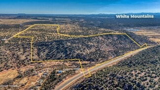 More details for TBD Shumway Rd TBD Shumway Road, Show Low, AZ - Land for Sale