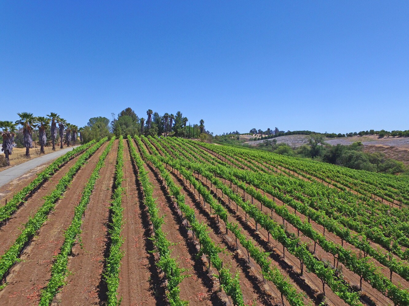 39850 Kapalua Rd, Temecula, CA for sale Other- Image 1 of 1