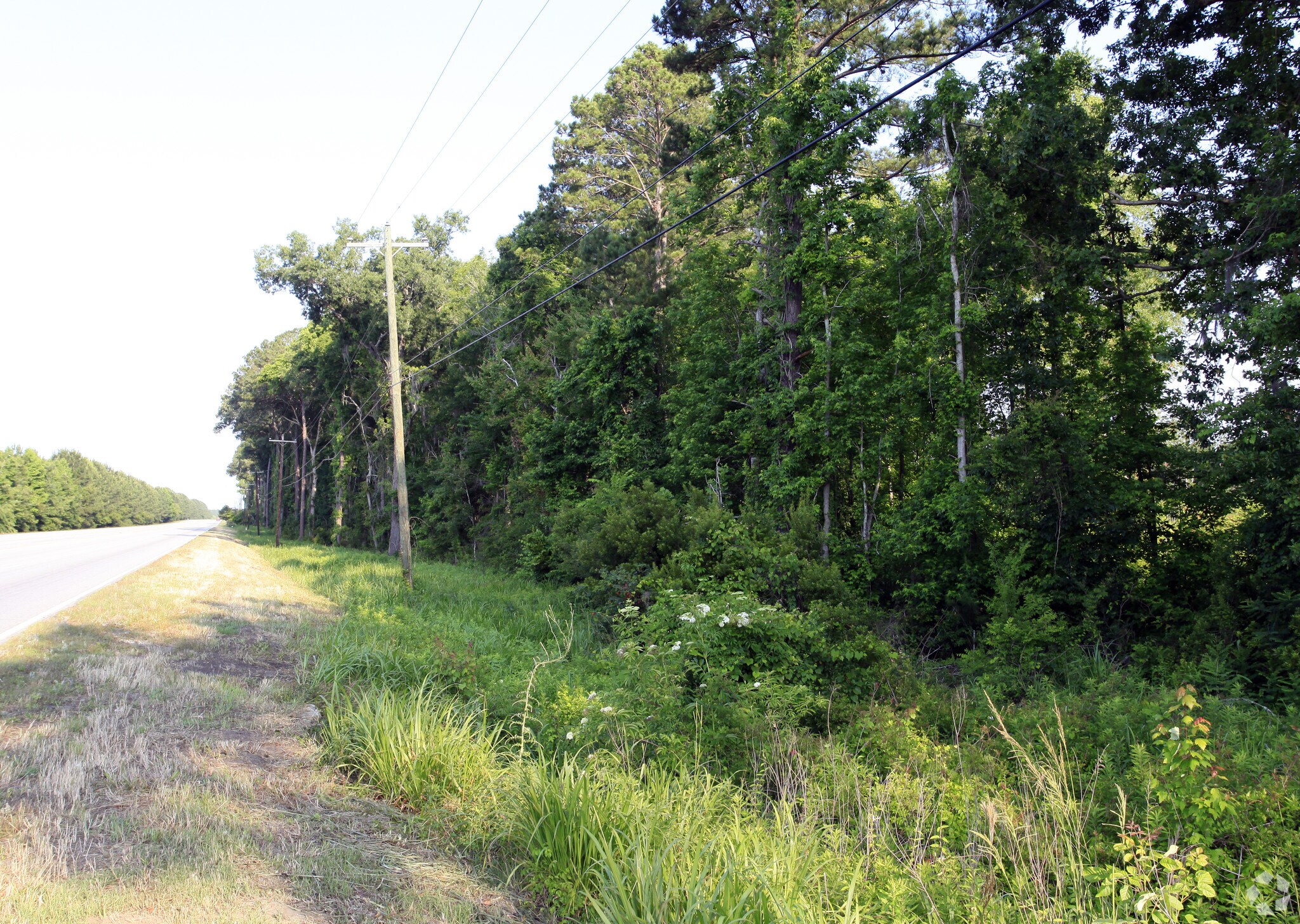 Spring Grove Rd, Adams Run, SC for sale Primary Photo- Image 1 of 1