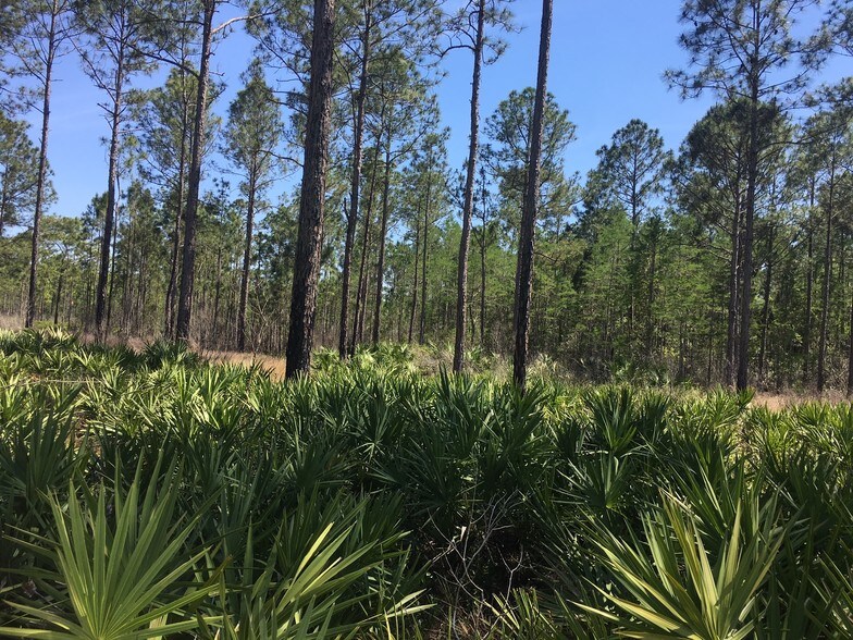 Equestrian Way & Hwy, New Smyrna Beach, FL for sale - Building Photo - Image 1 of 1