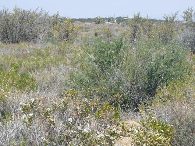 12328 Juniper Hills Rd, Pearblossom, CA for sale - Building Photo - Image 1 of 1