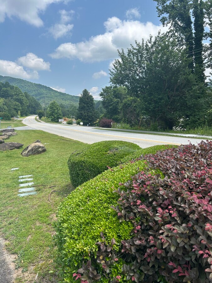 View Photo