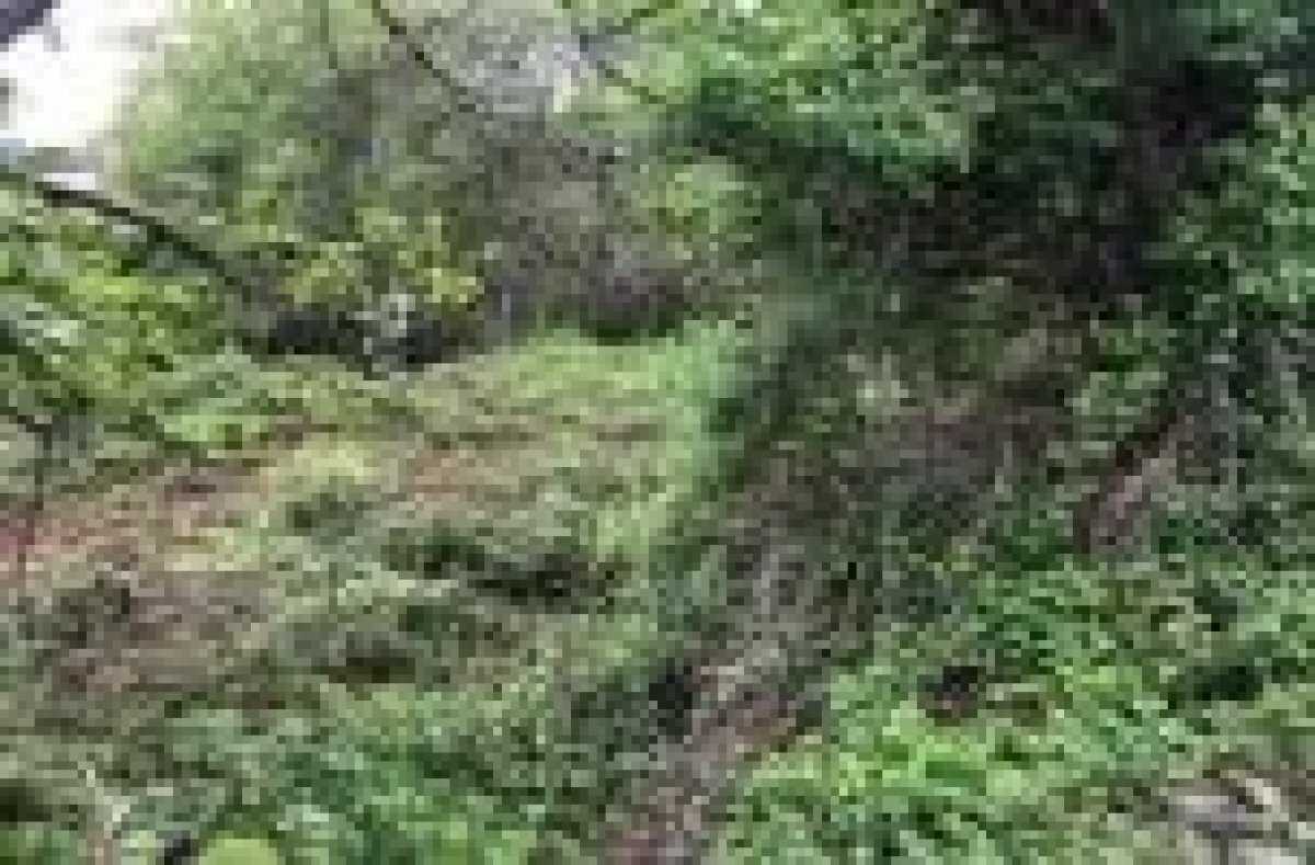 Land in Candelario for sale Building Photo- Image 1 of 3